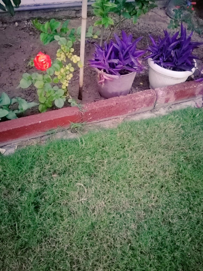 mauna 🇮🇶 tweet media