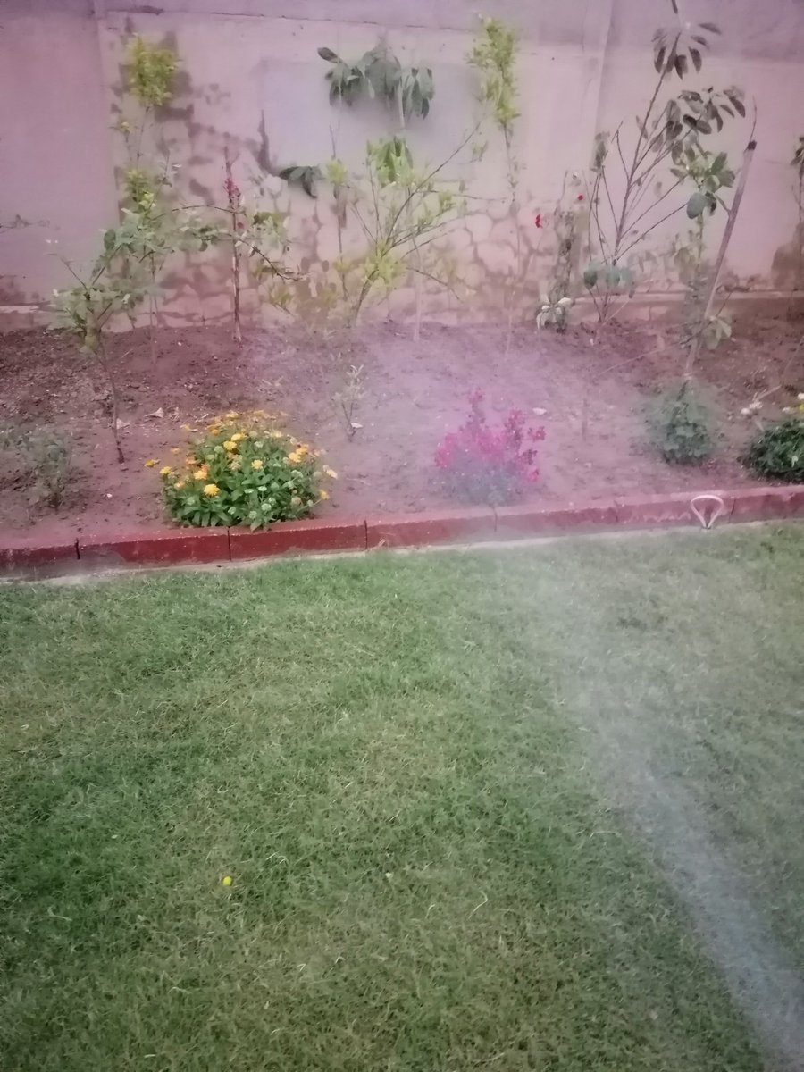 mauna 🇮🇶 tweet media