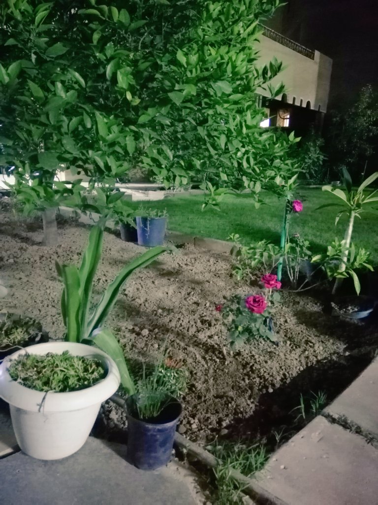 mauna 🇮🇶 tweet media