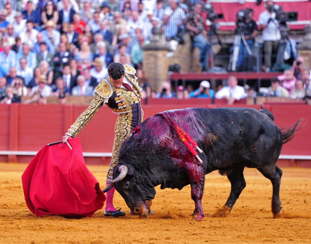 Que merecida Puerta del Principe, sin discusiones, todo el mundo de acuerdo
3 orejas, su justo precio ni más ni menos.
Me alegra ver la regeneración del escalafón.
Me alegro mucho por <a href="/DavDeMiranda/">David de Miranda</a> 
Y cuidad
o que toro "Secretario" núm 27 de El Parralejo 🟨🟩 
Enhorabuena a los 2