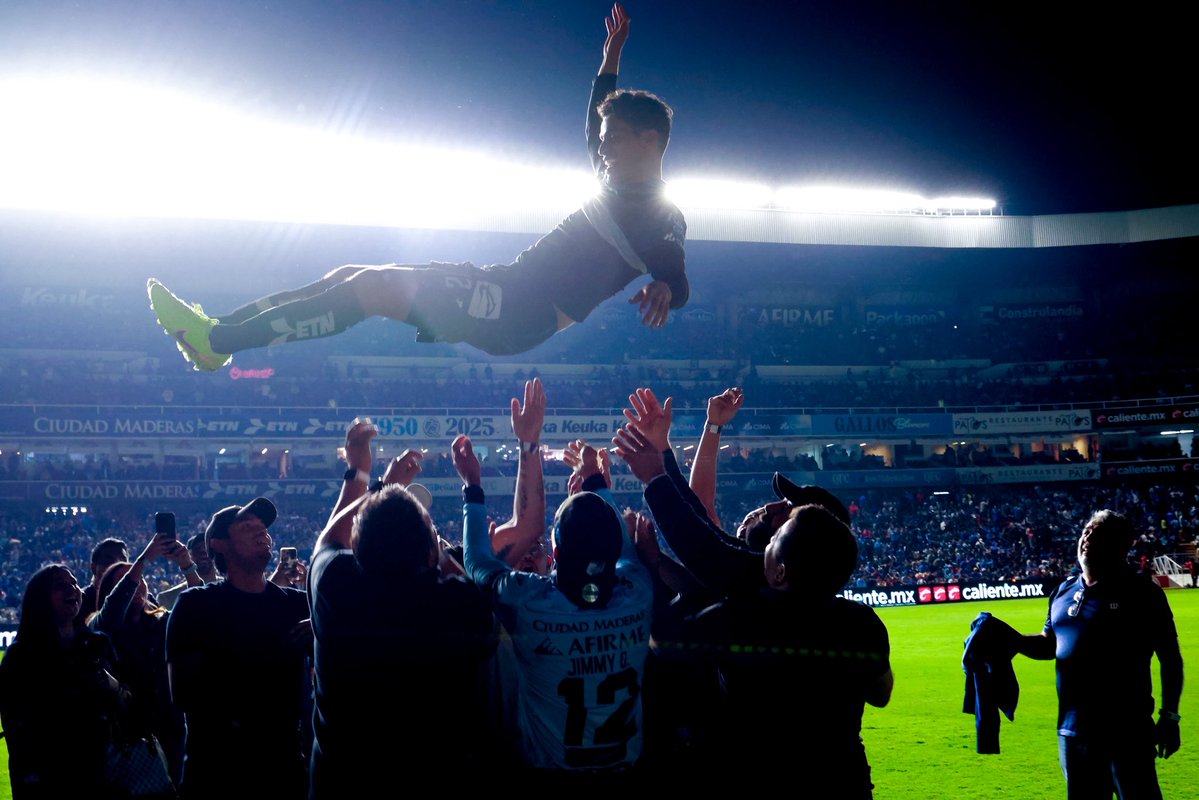 Gallos Blancos 🐓 tweet media