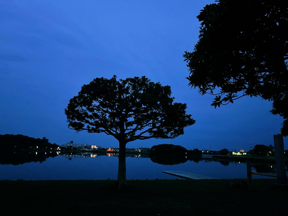 なつき tweet media