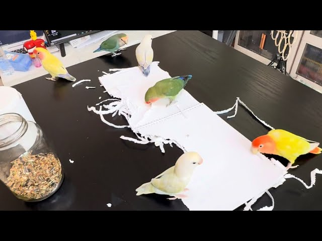 김칠복 tweet media