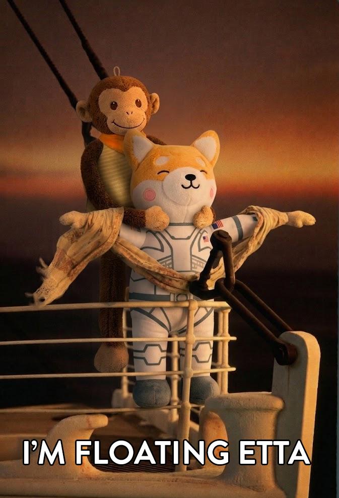 ZERO-G SQUAD tweet media