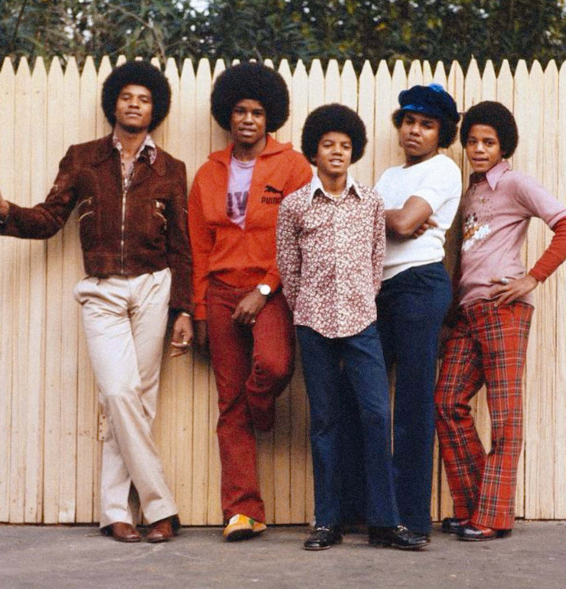 Cetti 🌙 tweet media