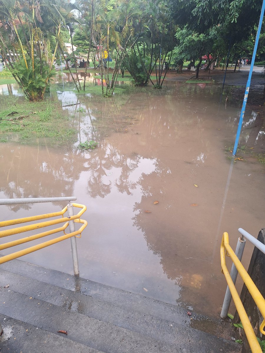 latarias tweet media