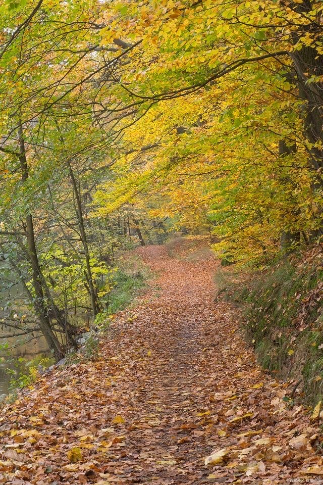 Phillip Morton tweet media