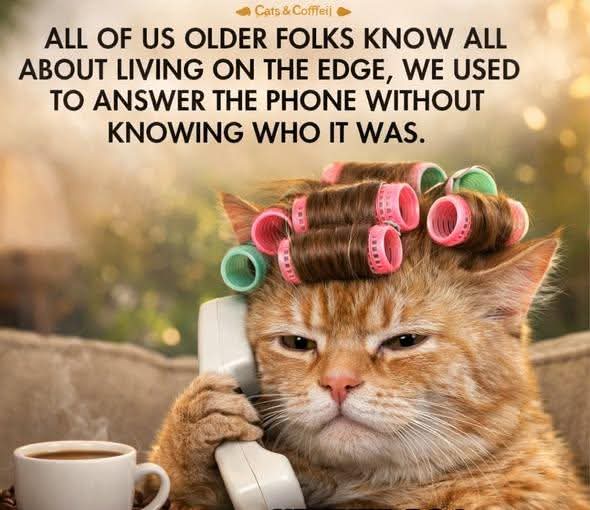 Flippineckers's tweet image. Chatting to my friends daughter in the garden earlier. I said strange how blackbirds sound like trim phones. She said " what's a trim phone?" 🫣😳 #OfficiallyOld  Good night all 😴💤xx