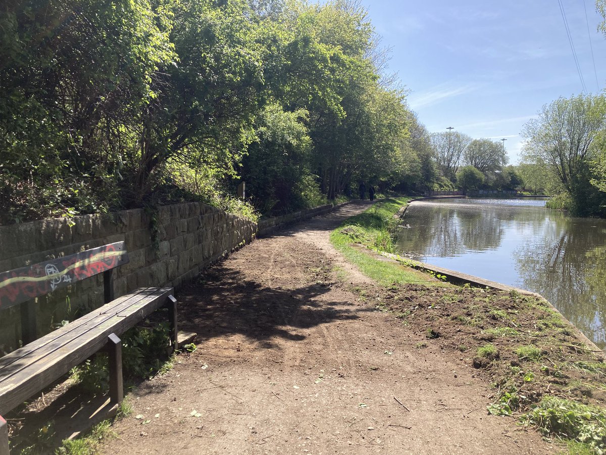 Blue loop tweet media