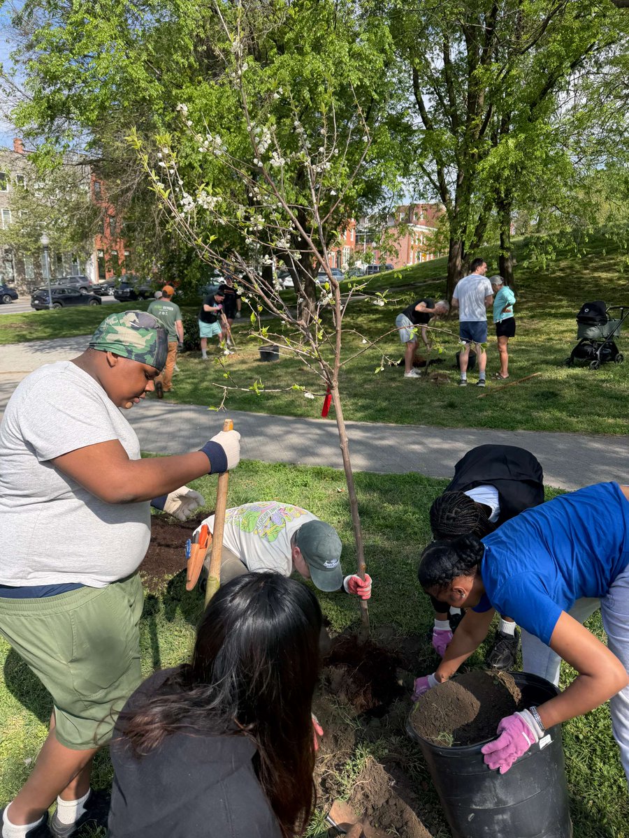 ThreadBaltimore's tweet photo. Happy Earth Day! Our Dunbar and Patterson communities have been hard at work in Patterson Park since spring began, planting trees and working in the garden. #EarthDay https://t.co/xDadnxcrtj