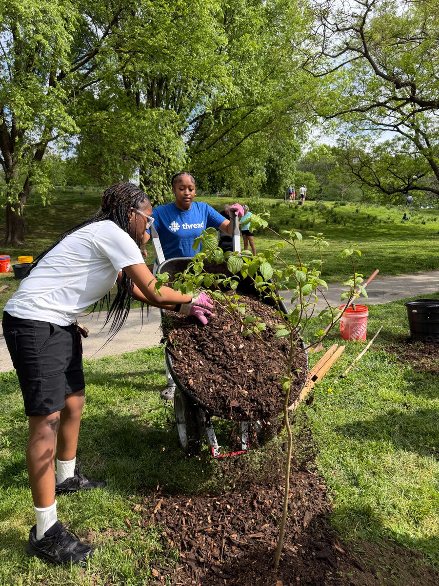 ThreadBaltimore's tweet photo. Happy Earth Day! Our Dunbar and Patterson communities have been hard at work in Patterson Park since spring began, planting trees and working in the garden. #EarthDay https://t.co/xDadnxcrtj