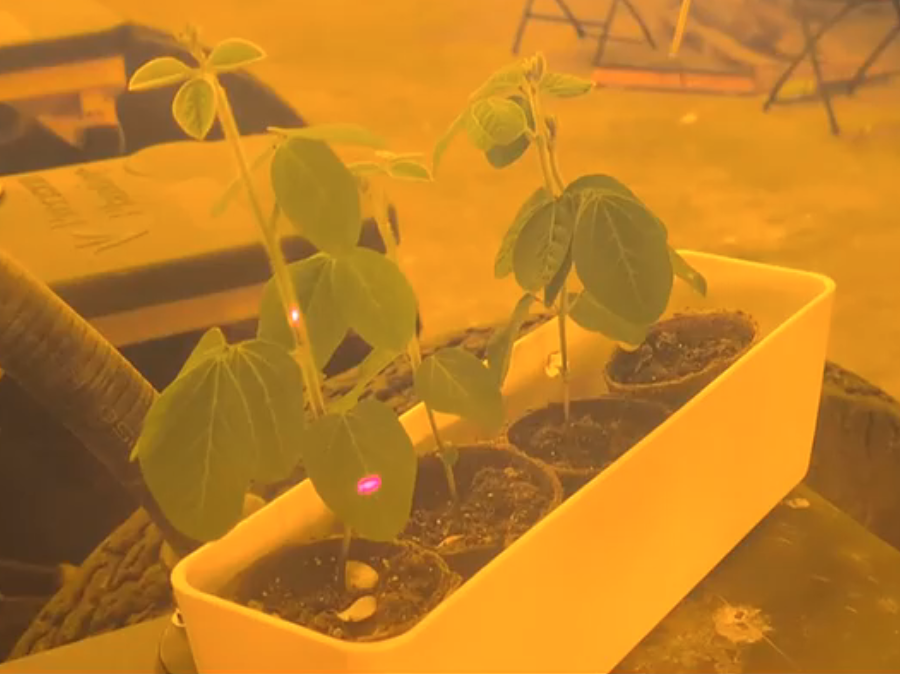 Inner_Plant's tweet photo. Environmental excellence 🌱

In honor of Earth Day 🌎, it is only fitting that @Inner_Plant received this year’s 2026 Environment + Energy leader award from our innovative and sustainable approach to reduce chemical usage in crop fungal management!

🔗 : https://t.co/M2flu2uPJV https://t.co/nhnMYhR9WZ