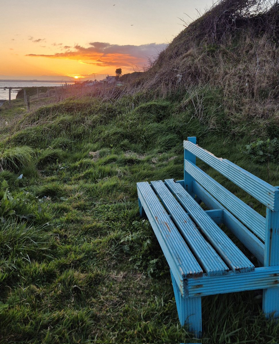 colimac1's tweet photo. 📍County Louth , Ireland

#sunset https://t.co/MgaYHd3rof