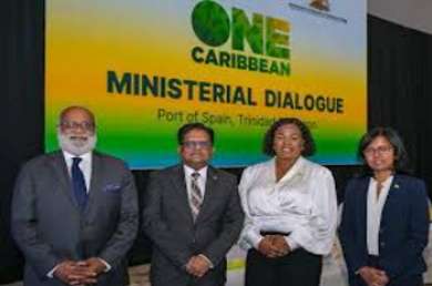 SKN Observer tweet media