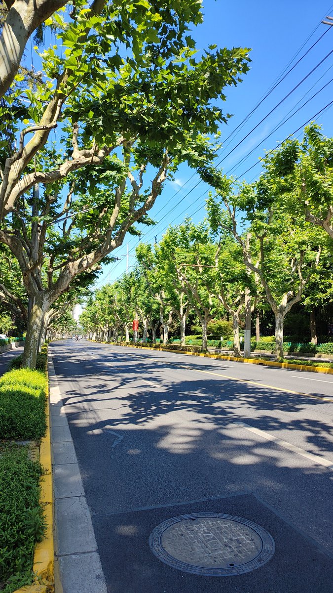 Sabbir Hasan tweet media