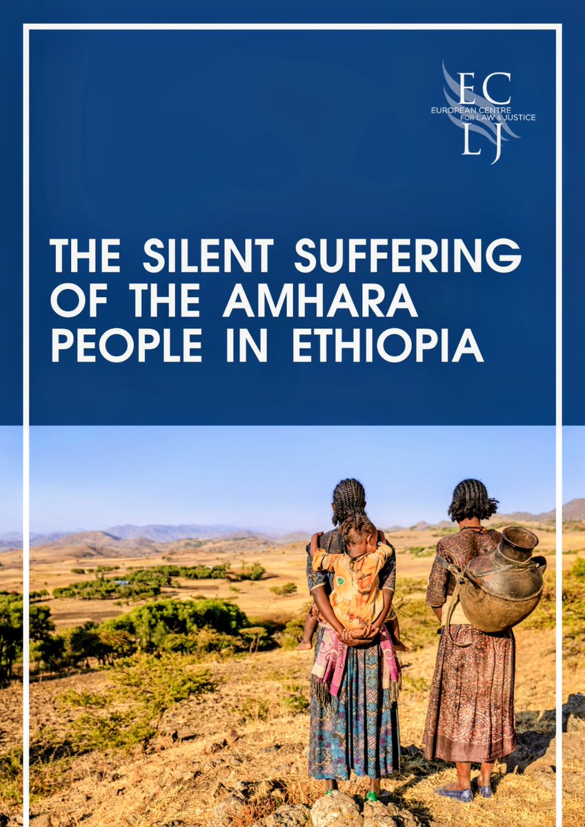 Call to the International Community: Urgent Protection Needed for Civilians in Ethiopia.
Since 2018, under the leadership of Prime Minister Abiy Ahmed, Ethiopia has experienced a disturbing and escalating pattern of targeted violence against civilians, particularly ethnic