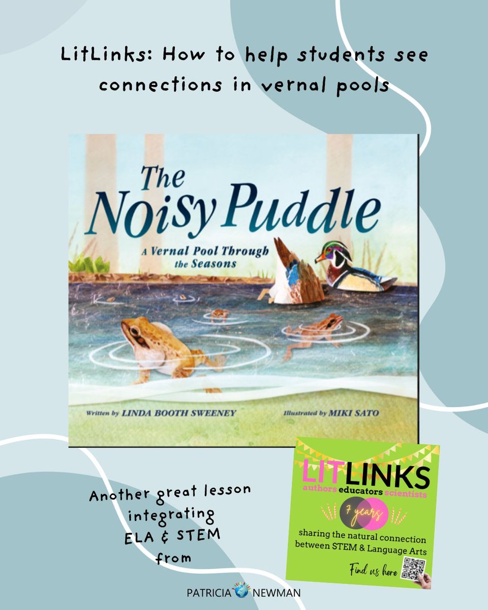 PatriciaNewman's tweet image. A temporary puddle = one of nature's most magical ecosystems
A 🆕 #LitLinks lesson that helps students see vernal pools — and nature itself — as a living system of relationships.
🐸 patriciamnewman.com/?p=13322

#KidLit #STEM #EdChat #NatureEducation #PictureBooks @NESCBWI