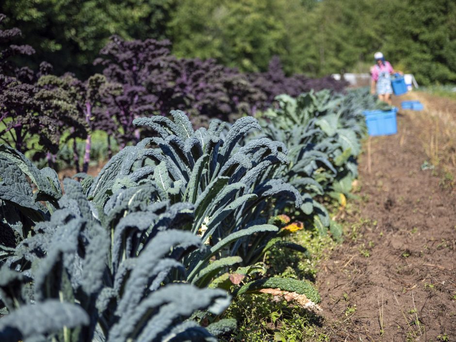 UBC Faculty of Land and Food Systems tweet media