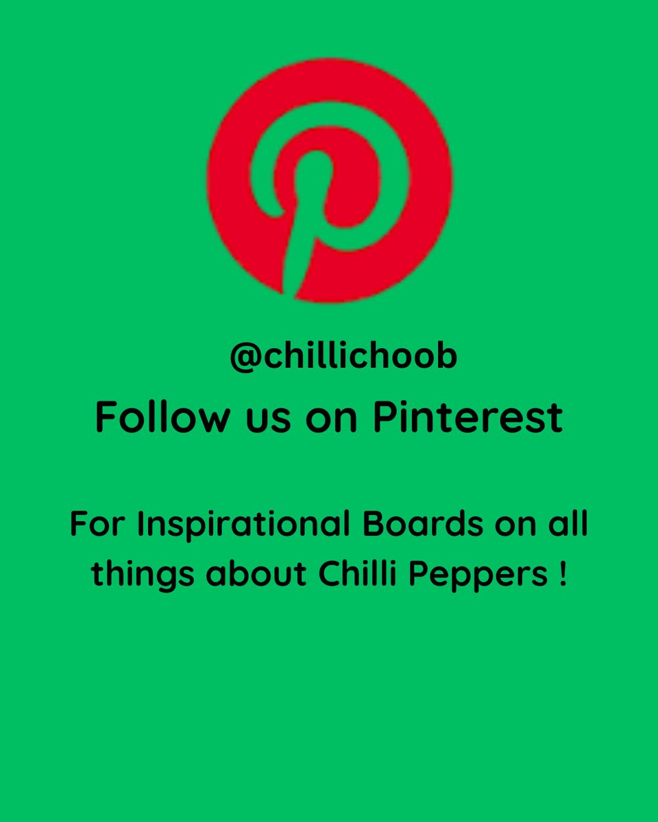 chillichoob tweet media