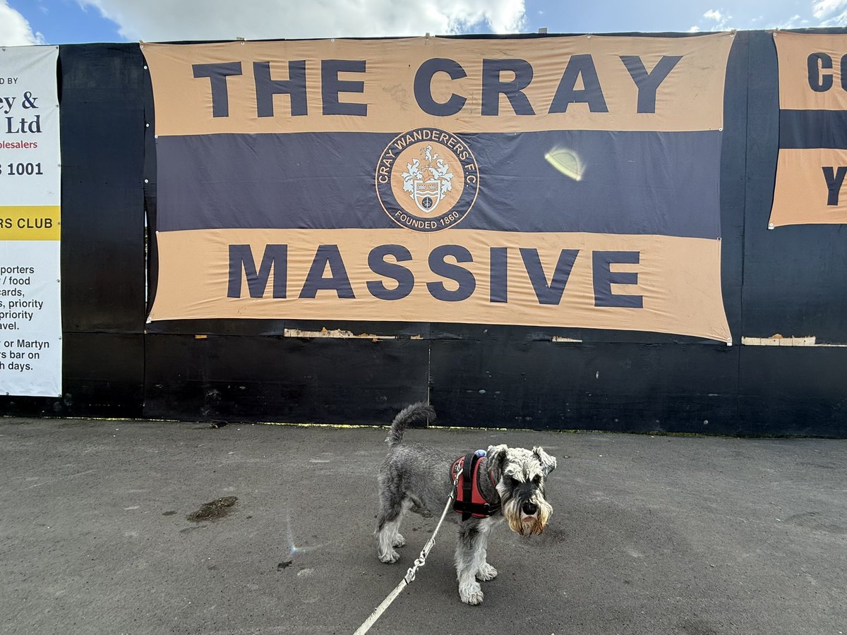 nonleaguedogs's tweet photo. Waffles looking majestic at @OfficialWands v @wellingunited
He got pats and cuddles from the players and manager after the final whistle and of course, chips ๐๐ผ #waffleswednesday
๐ธ @MrWafflesTheDog https://t.co/8KFF9t1UCE