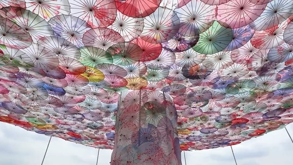 Maddie West tweet media