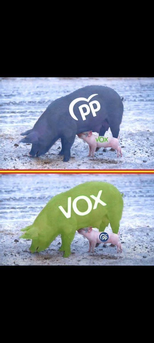 <a href="/NunezFeijoo/">Alberto Núñez Feijóo</a> <a href="/MGuardiolaM/">María Guardiola</a>