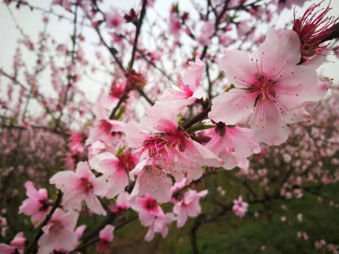 Annacoudret tweet media