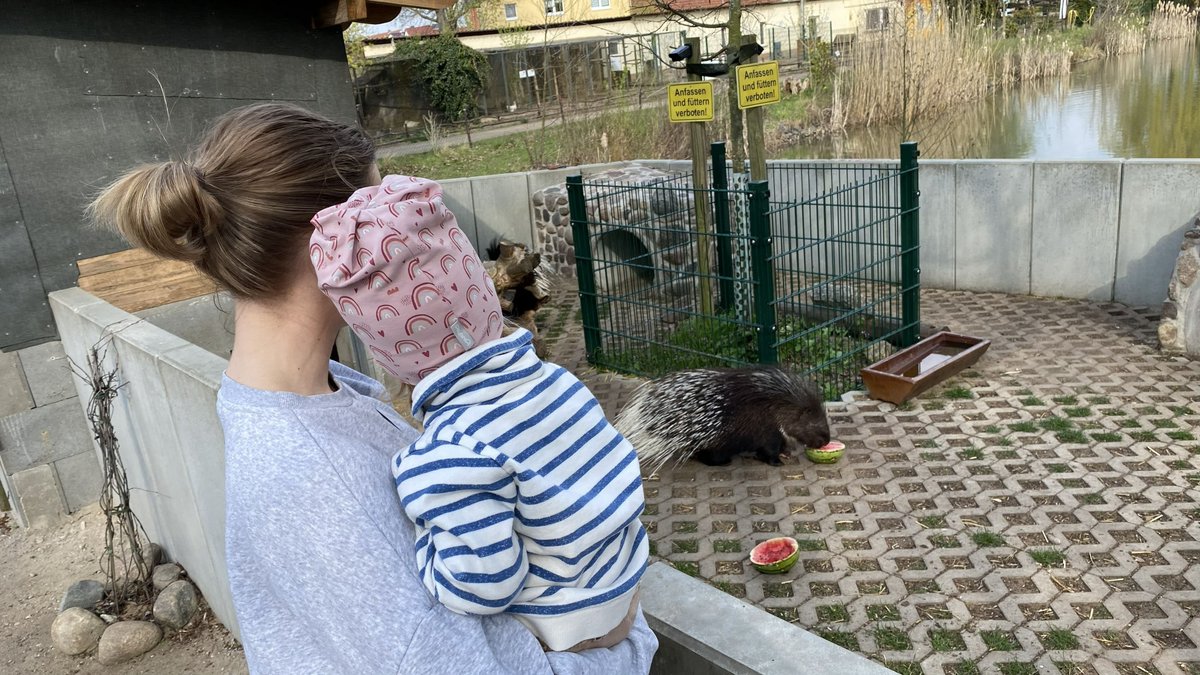Neue Attraktion in Jessen: Am Jessener Schwanenteich lädt ein nagelneuer Spielplatz zum Toben ein mz.de/lokal/jessen/a…