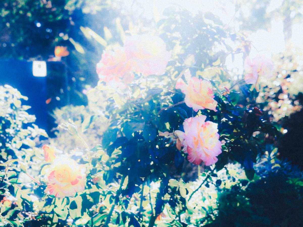 maxstlr's tweet photo. https://t.co/D7mQVG90NA