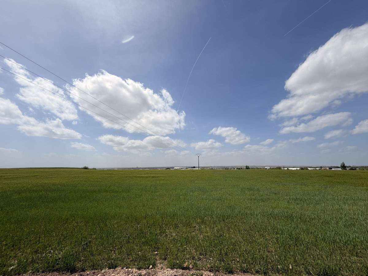 Toledo y el fondo de Windows XP