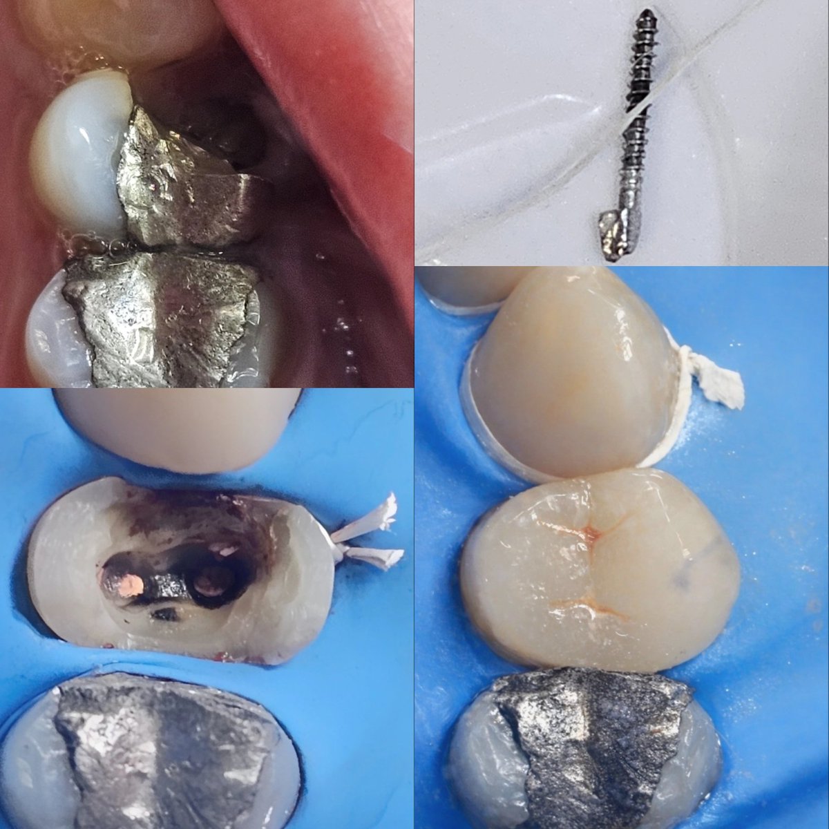 dentisteto tweet media