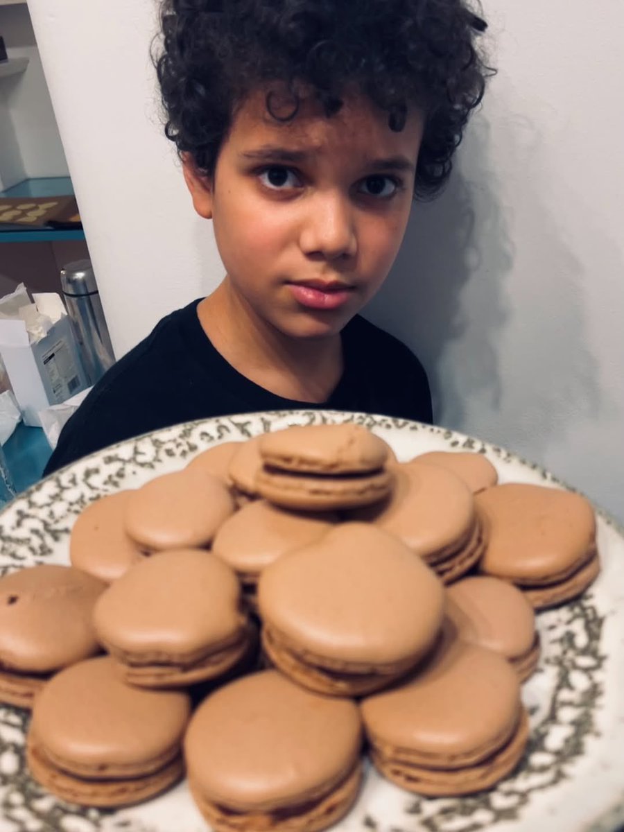 KOKO! 🪰 . ݁₊ ⊹ . ݁˖ . ݁ tweet media