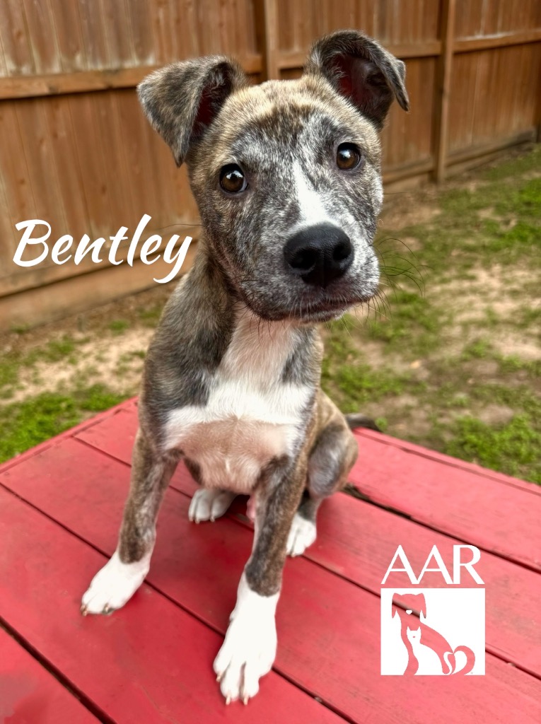 Fred Haas Country tweet media