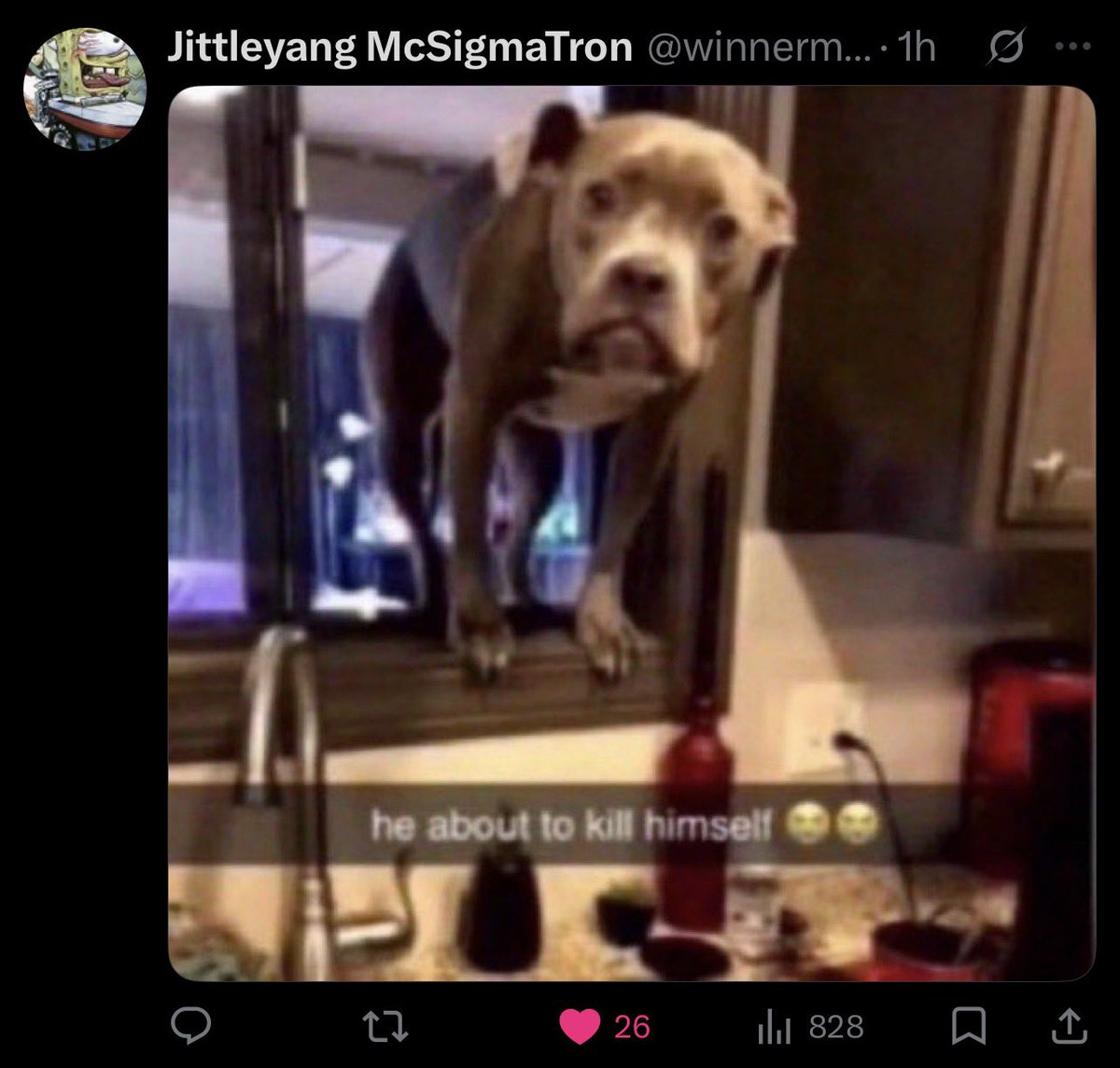 PlayerName7570's tweet photo. @LordJuiceMcGee This reply to their comment is killing me bro, I can’t believe people like hoasiie are actually real lol https://t.co/BVutwmnsGJ