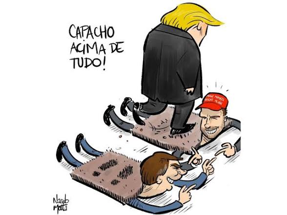 Pedro Ronchi tweet media