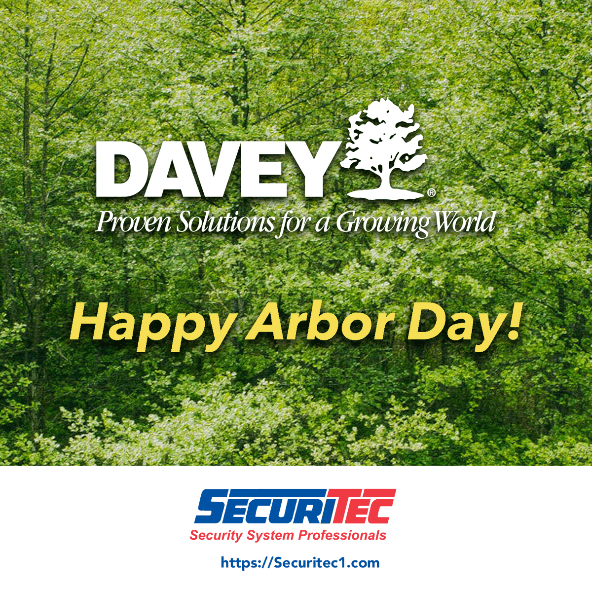 SecuritecOne's tweet photo. From roots to canopy, every tree matters 🌿. This Arbor Day, we recognize our friends at The Davey Tree Expert Company for leading the way in expert tree care and helping communities grow greener every year. https://t.co/3EAN6eLBB2