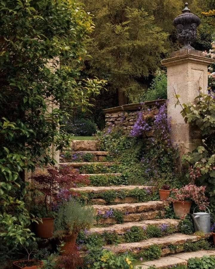 only aesthetic tweet media