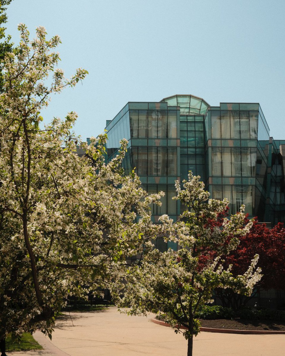 CWRU Engineering tweet media