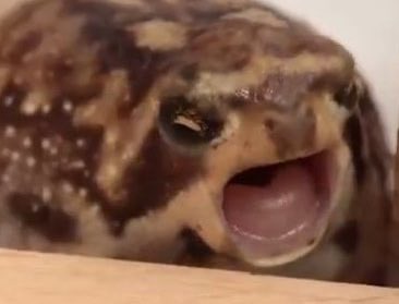 stefan riesling tweet media