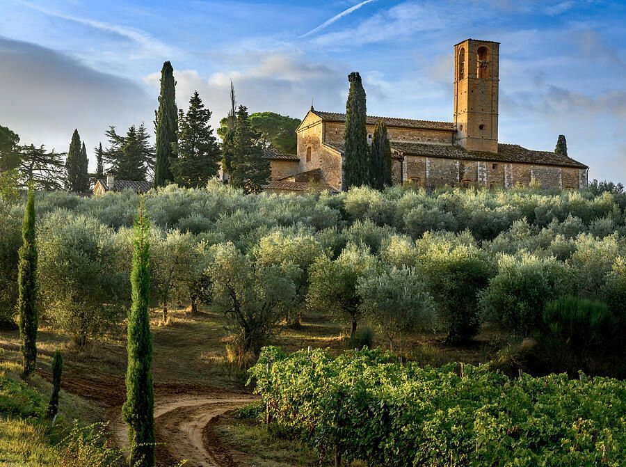 joancarroll's tweet image. Near San Gimignano Tuscany Italy buff.ly/2oEgh4e #church #sangimignano #italy #Tuscany #hillside #countryside #photography @joancarroll