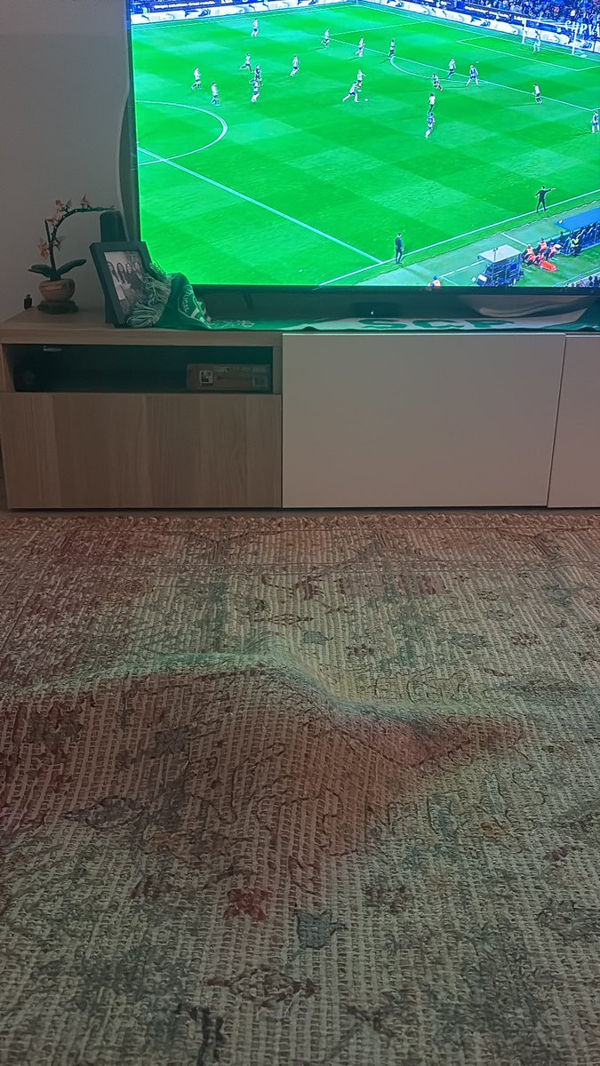 A minha gata nem quer ver o jogo.