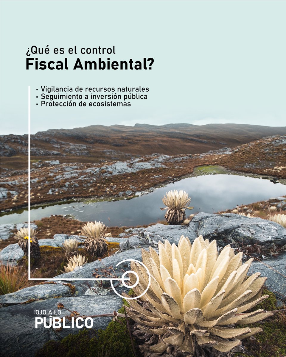 contral_cucuta's tweet photo. Te invitamos a un nuevo espacio de Ojo a lo Público, donde hablaremos de un tema clave para el presente y futuro de nuestro territorio: la protección ambiental desde el control fiscal.

Conéctate y conoce cómo se vigila y protege el uso de nuestros recursos naturales, las cuencas hídricas, los páramos y los ecosistemas estratégicos en Norte de Santander.