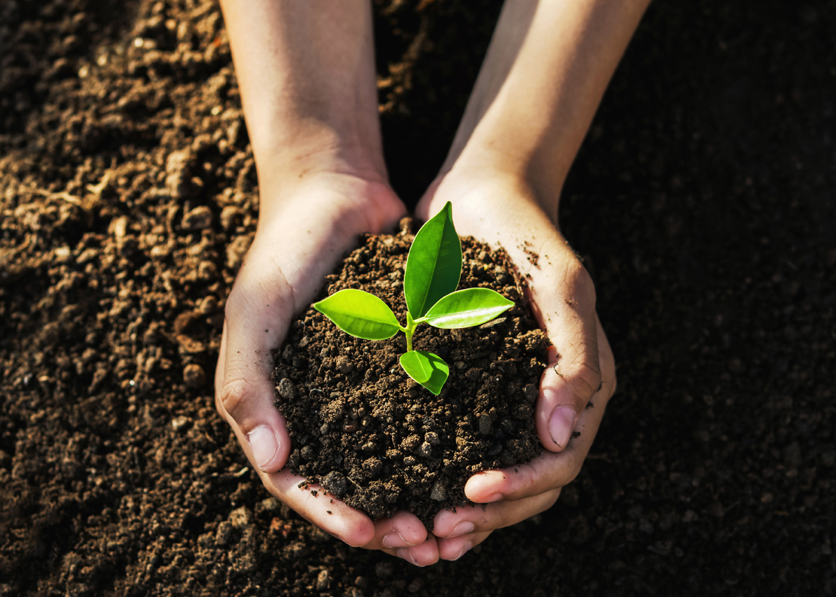 Directnic's tweet photo. This Earth Day, remember that behind every .ORG is a purpose.  🌎

From protecting forests to cleaning oceans, .ORG organizations are turning passion into action every single day.

Support a cause. Share a mission. Be part of something bigger.

When we come together with purpose, we make the planet healthier for everyone.

✅ Get yours today for $8.99 at https://t.co/opmf7oPpyG