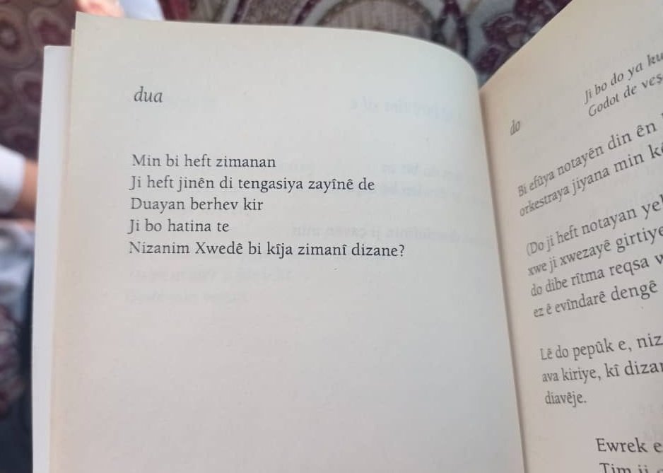 yedi dilde
doğum sancısı çeken yedi kadından
dualar derledim
bir gün dönersin diye
bilmiyorum ki Allah hangi dilden anlıyor?

• Gulîzer