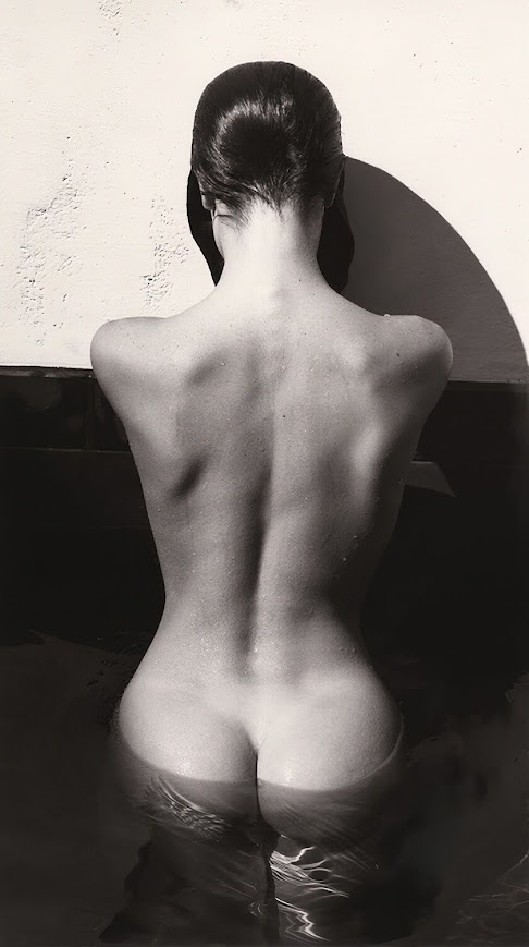 Remnants of the Past tweet media