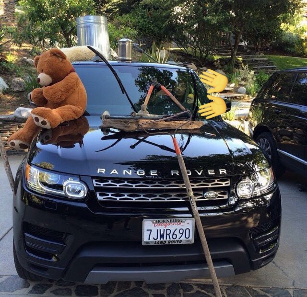 🍋💙💚🪩🍅 🌊 #HarrysBearFamily tweet media