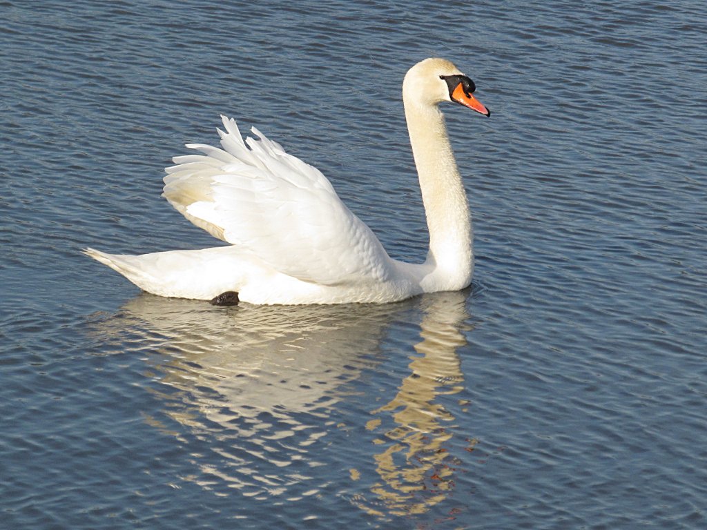 GM0URD's tweet image. Springtime in Dunfermline. #Dunfermline #Fife #Scotland
