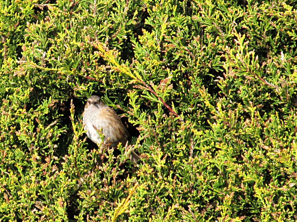 GM0URD's tweet image. Springtime in Dunfermline. #Dunfermline #Fife #Scotland