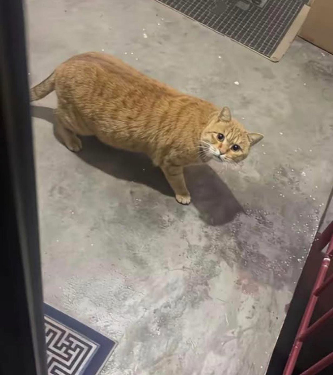 Kayakestable tweet media