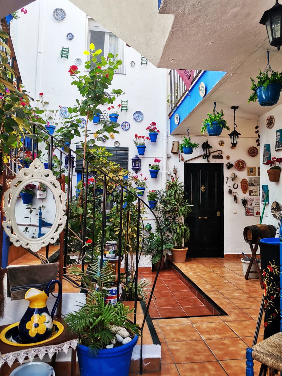 Este año son del 5 al 9 de mayo, si podéis pasaos a verlos, que merecen la pena.

Para que se mantenga la semana de los corralones, dadles difusión y que así más gente de Málaga los conozca, 🙏🏻

Aquí algunas fotos del año pasado: